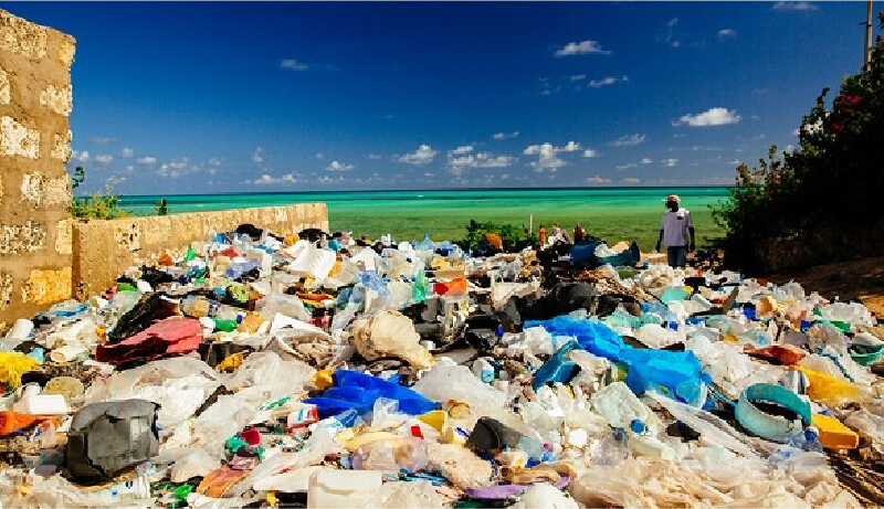 提供：WWFジャパン「ケニア・ワタミュビーチに打ち寄せられたプラスチックゴミ」