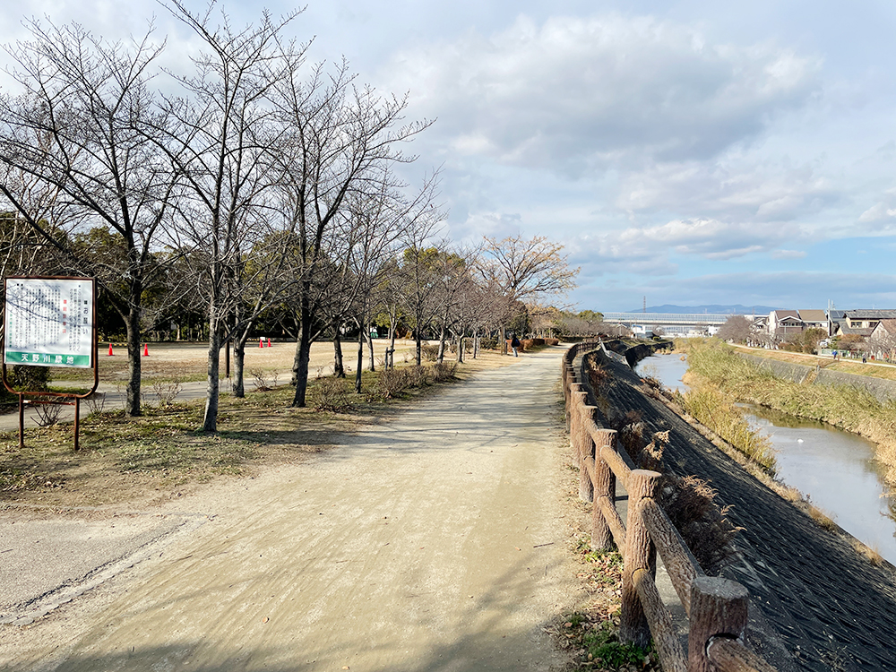 天野川緑地（徒歩12分／自転車4分）