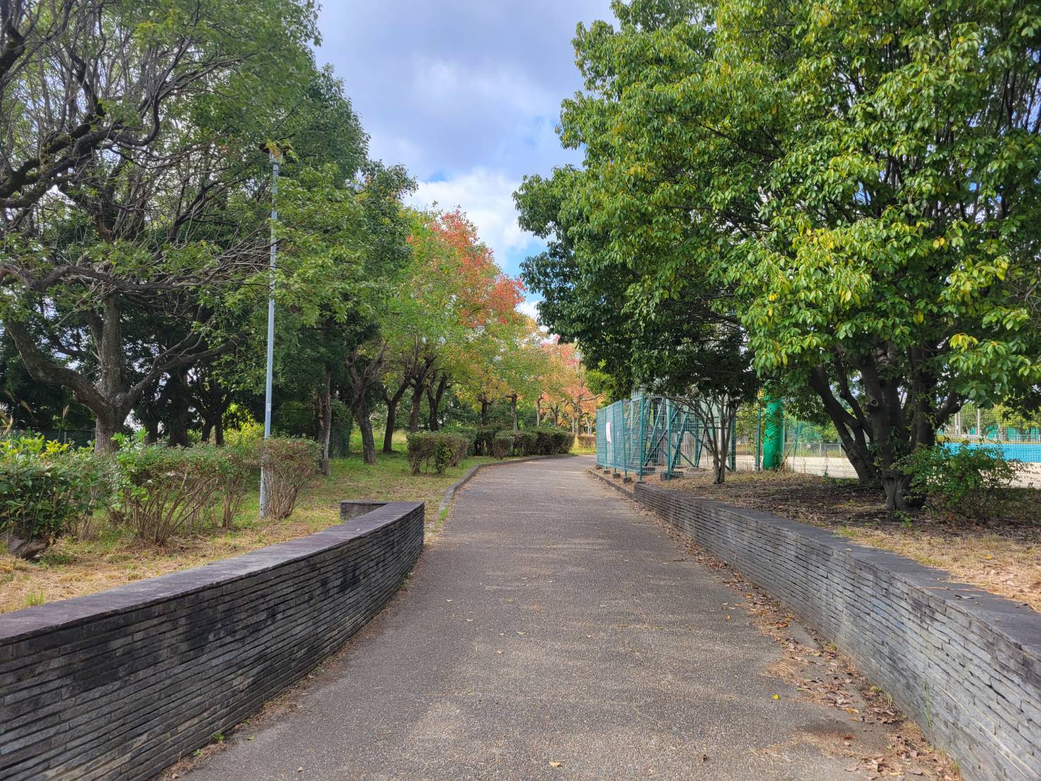 私部公園（徒歩4〜8分）